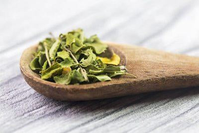 11 Reasons Why You Need Moringa Leaves In Your Daily Life-Better Body Co.
